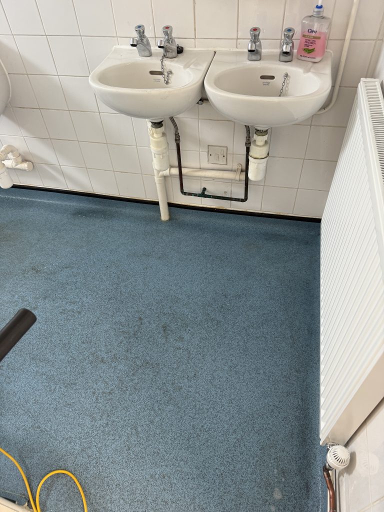 Hard floor Cleaning