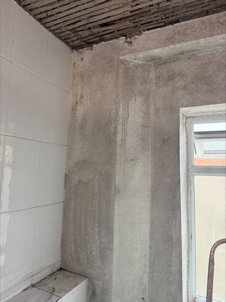 Mould Removal
