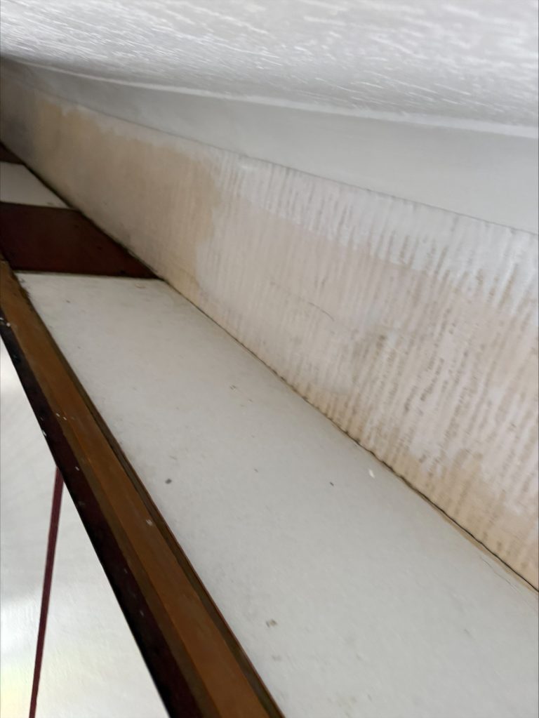 Mould Removal
