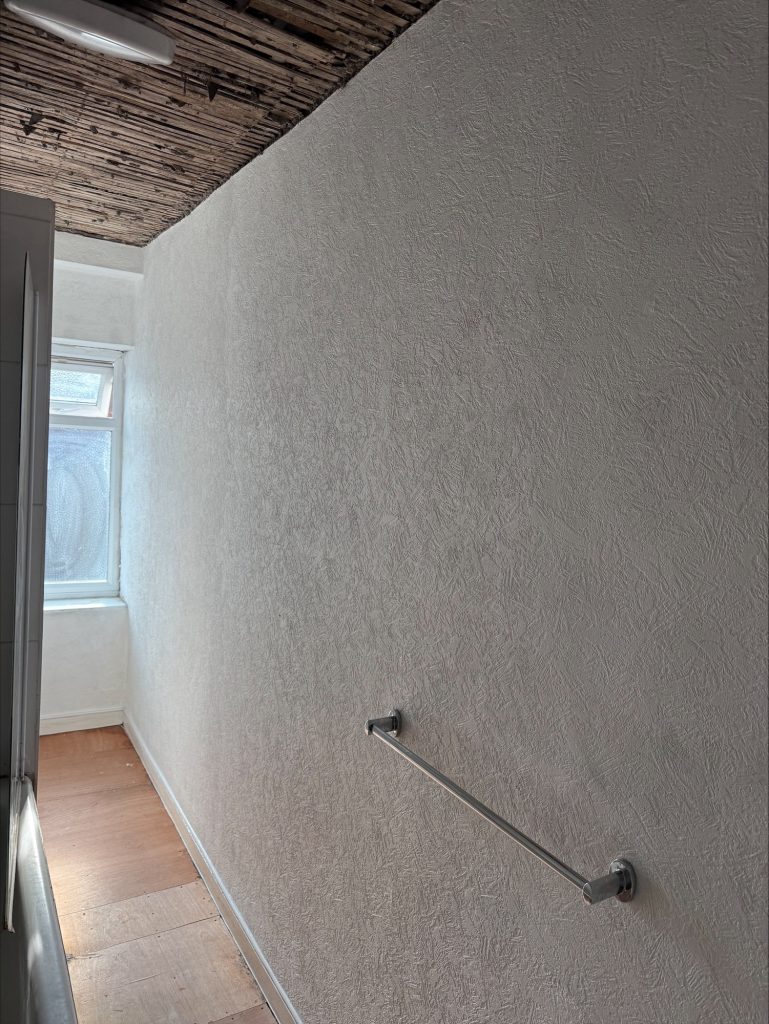 Mould Removal