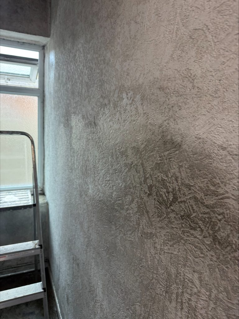 Mould Removal