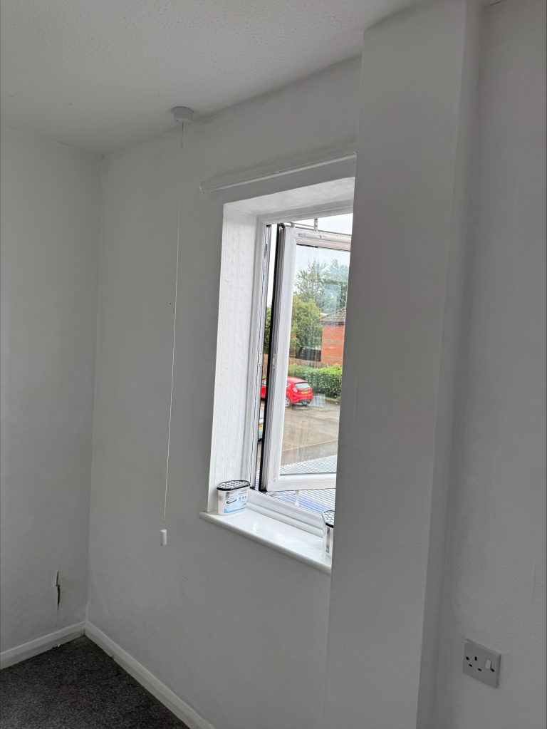 Mould Removal