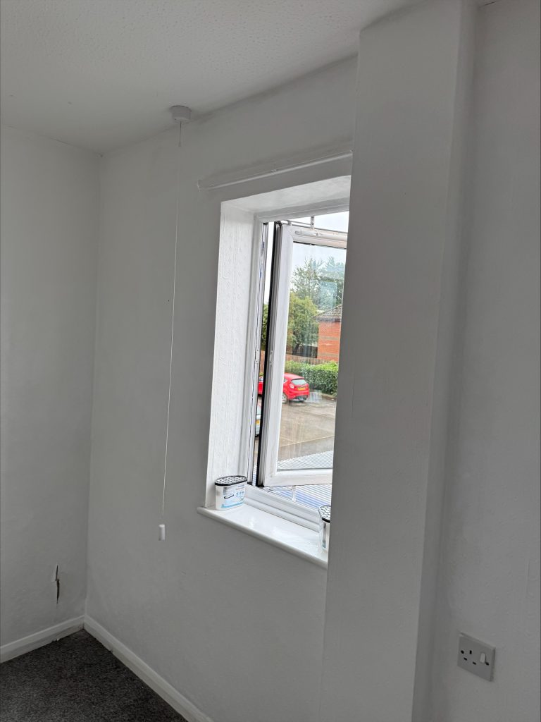 Mould Removal