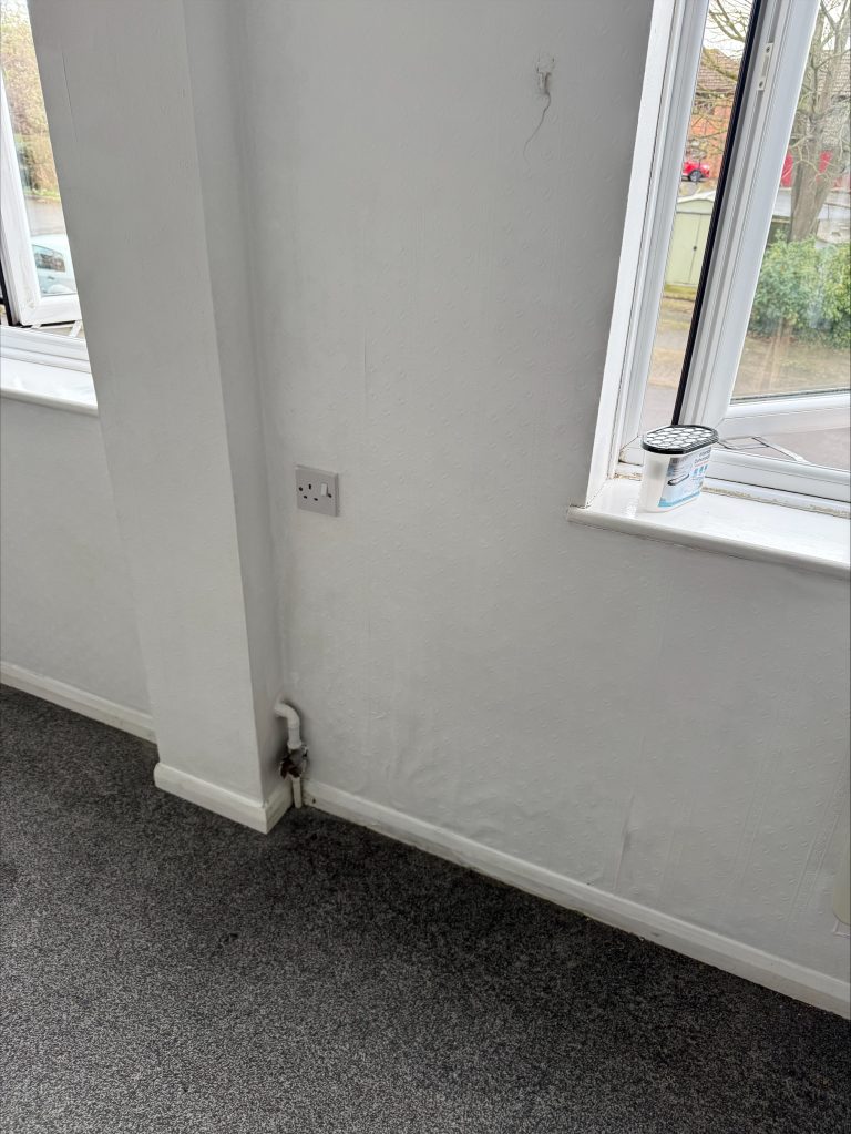Mould Removal