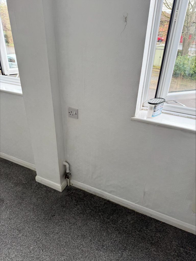 Mould Removal